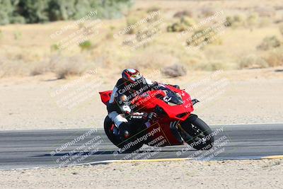 media/Jan-13-2025-Ducati Revs (Mon) [[8d64cb47d9]]/2-A Group/Session 3 Turn 9 Backside/